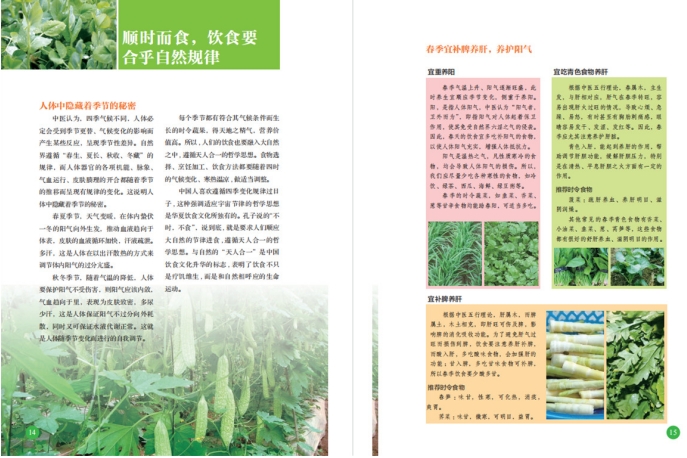 春分节气焕发时代活力 AI带你我共赴一场春日盛宴