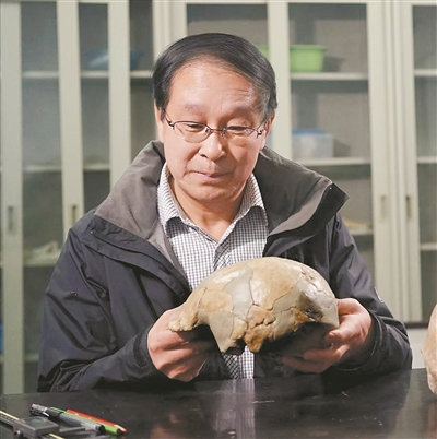 给化石拍“证件照”的考古学家