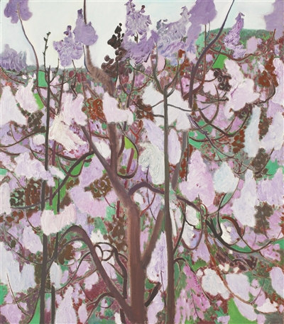 诗画品桐花