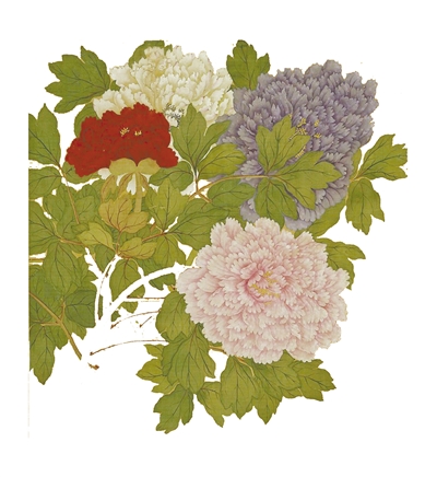 去明代北京反向赏花