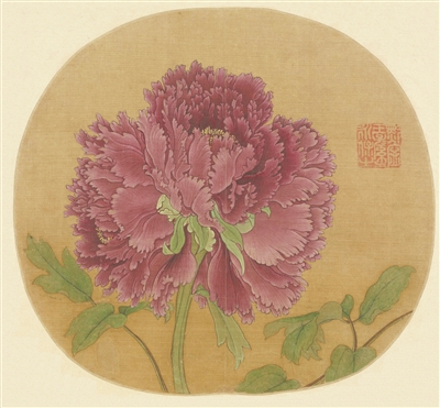 谷雨花开，照见千年风雅