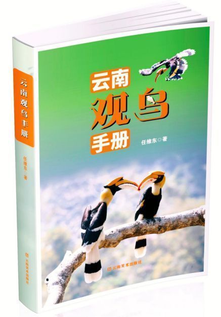飞鸟的请柬:听见羽翼划过彩云之南 飞鸟的请柬:听见羽翼划过彩云之南
