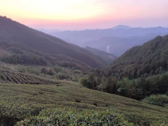 缙云丨阚敬侠:乙巳九月重庆云阳纪行 缙云丨阚敬侠:乙巳九月重庆云阳纪行