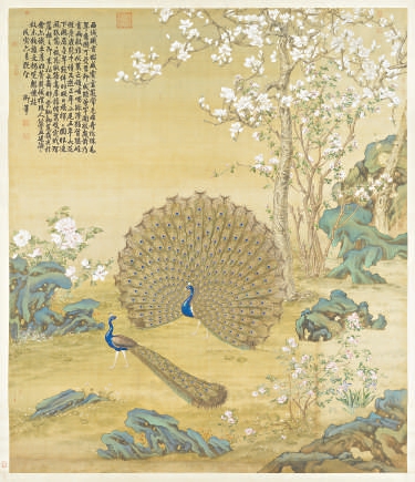 明清宫廷爱养哪些鸟