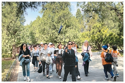 寻访北京中轴线上的古树名木