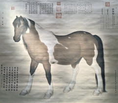 为何爱马