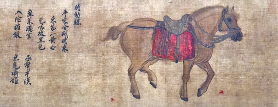 为何爱马